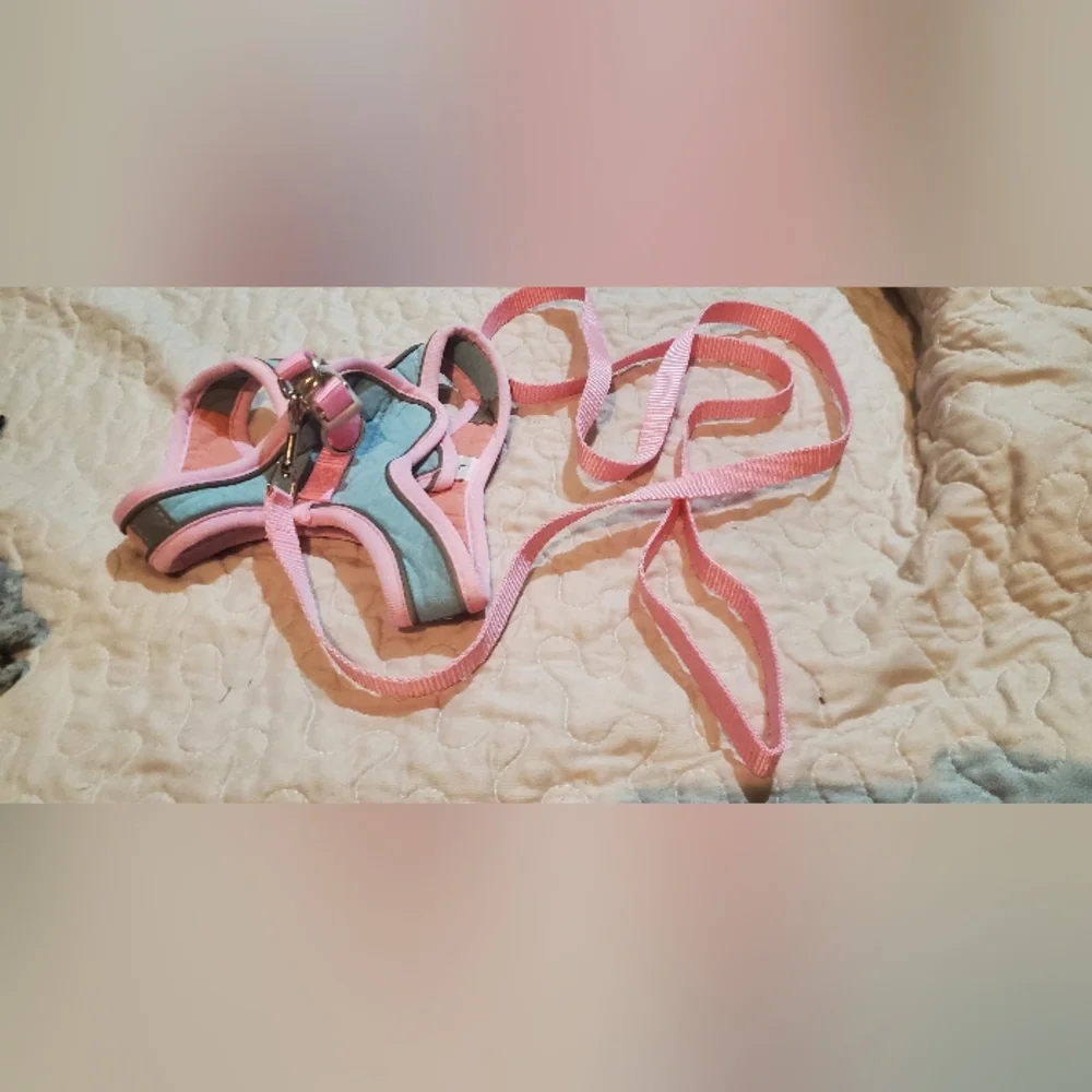 N/A